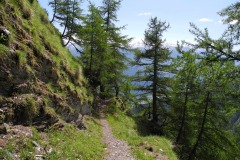 DSCN0773