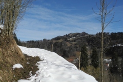 DSCN2329