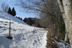 DSCN2331