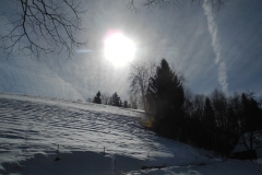 DSCN2332