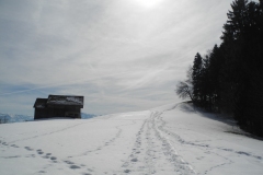 DSCN2343