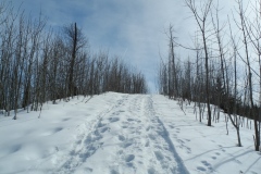 DSCN2346