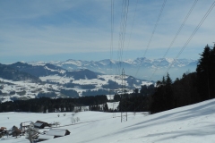 DSCN2347