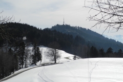 DSCN2348