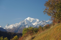DSCN1206