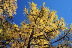 DSCN1214
