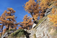 DSCN1216