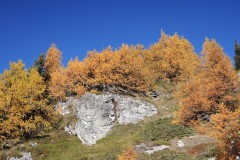 DSCN1220