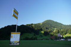 DSC05046
