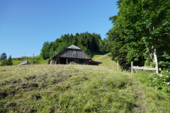 DSC05054
