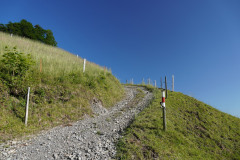 DSC05056