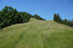 DSC05061