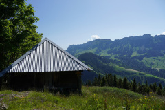 DSC05072