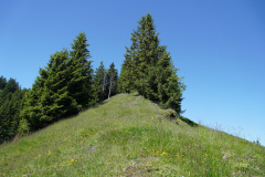 DSC05074