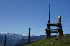 DSC05080