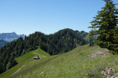 DSC05082