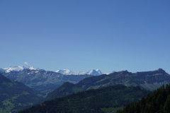 DSC05083
