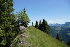 DSC05086
