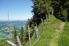 DSC05090
