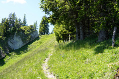DSC05092