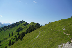 DSC05096