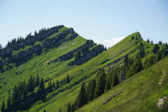 DSC05106