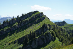 DSC05130