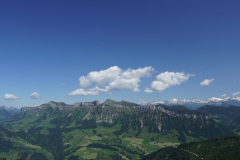 DSC05133