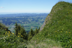 DSC05138