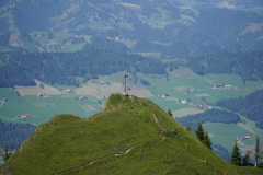 DSC05149