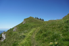 DSC05158