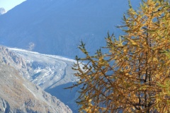 DSCN3027