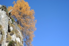 DSCN3029