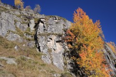 DSCN3034