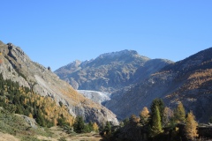 DSCN3035