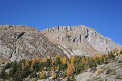 DSCN3037