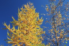 DSCN3059