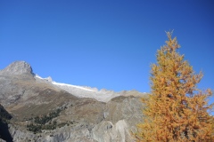 DSCN3060