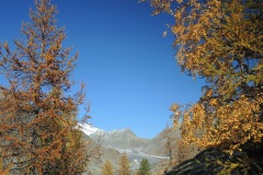 DSCN3068