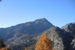DSCN3070