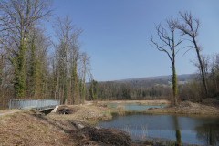 DSC01749