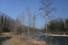 DSC01753