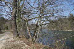 DSC01763