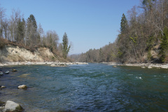 DSC01767