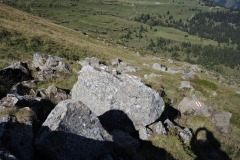 DSCN2929