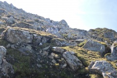 DSCN2931