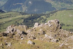 DSCN2951