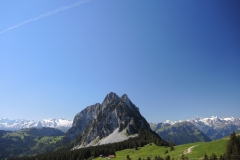 DSCN3523