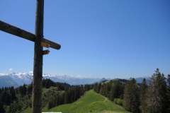 DSCN3548