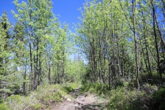 DSCN3550